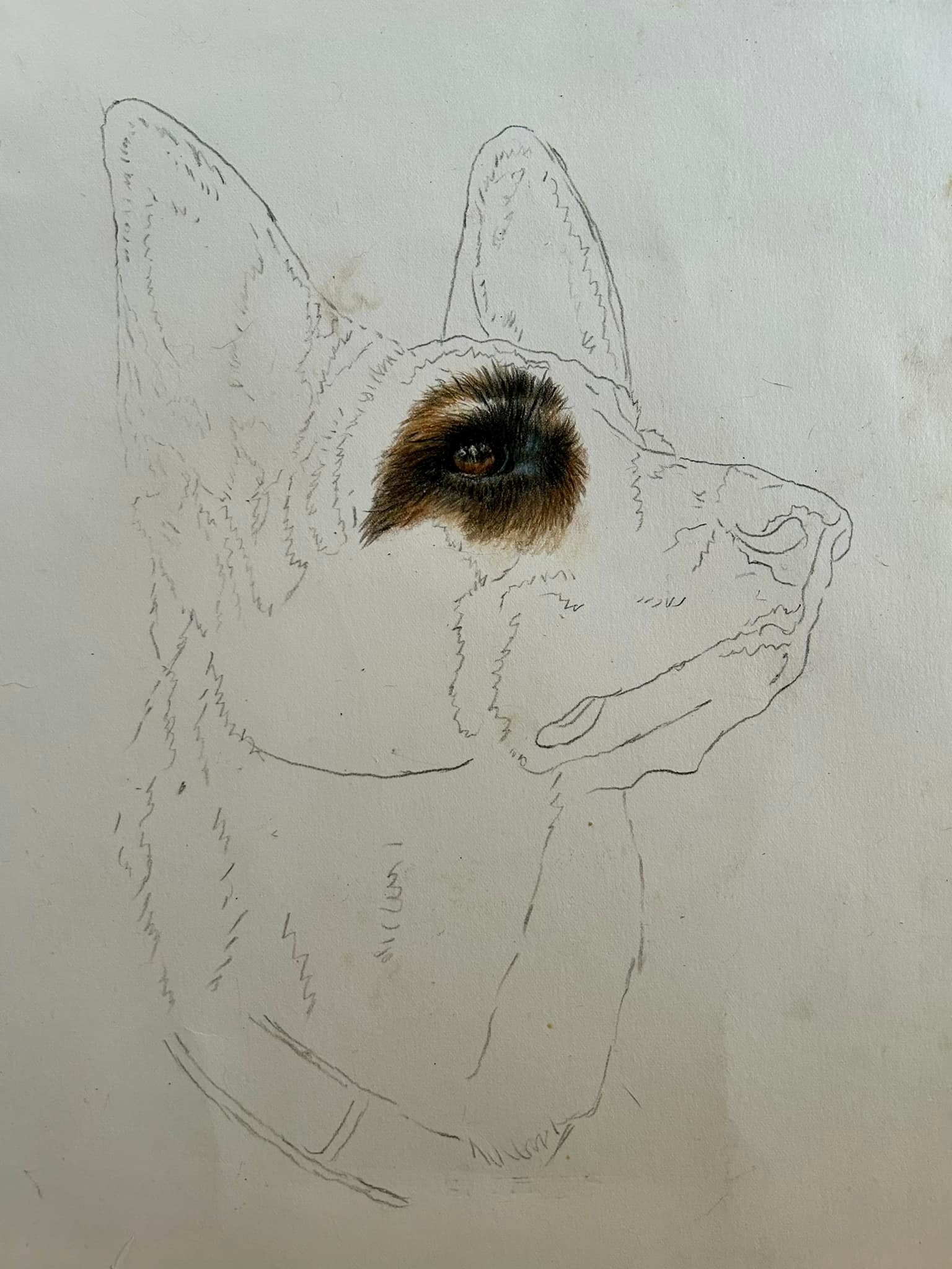 Mary Riley Fine Art