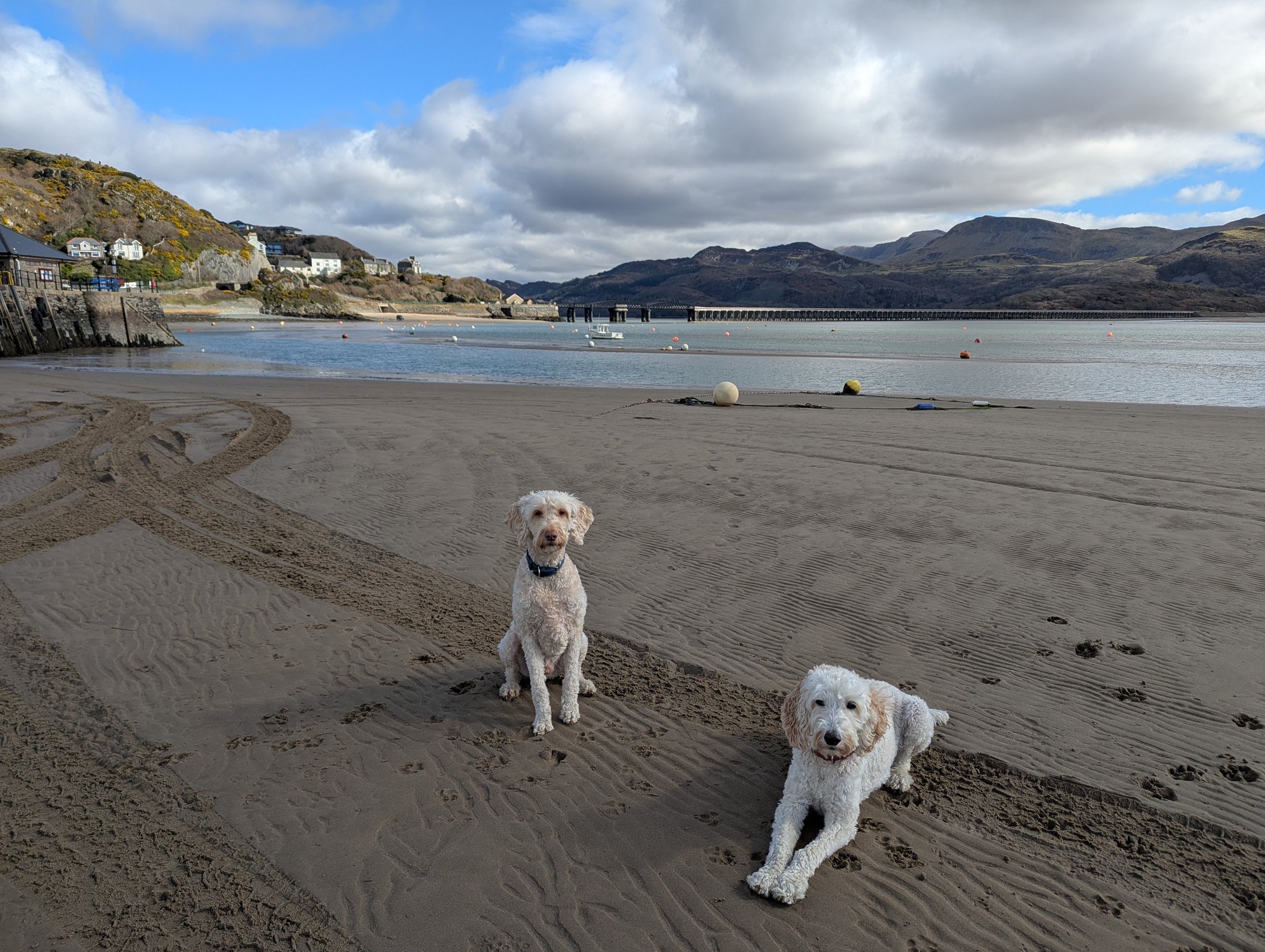Bryn & Ritchie