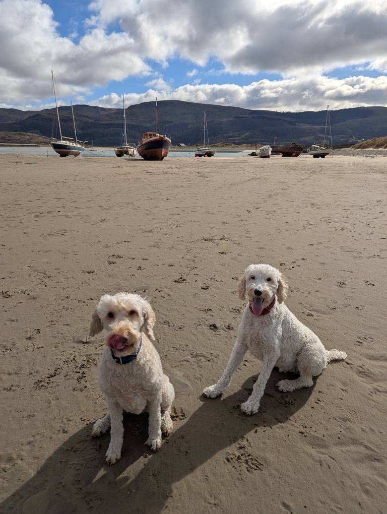 Bryn & Ritchie