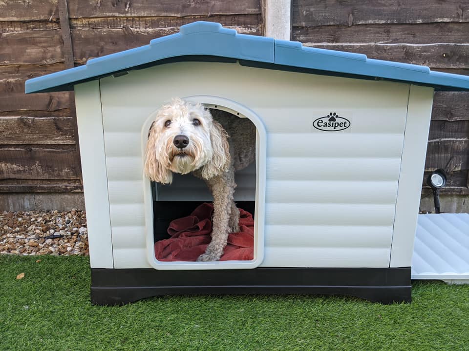 Bryn & Ritchie - Our new dog house! 😃🐶🏠 | Facebook