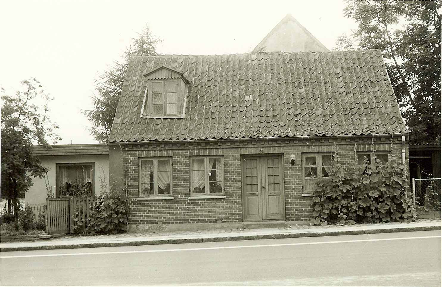 Præstø Lokalhistoriske Arkiv - Genforeningstræet i Hollænderskoven ved ...
