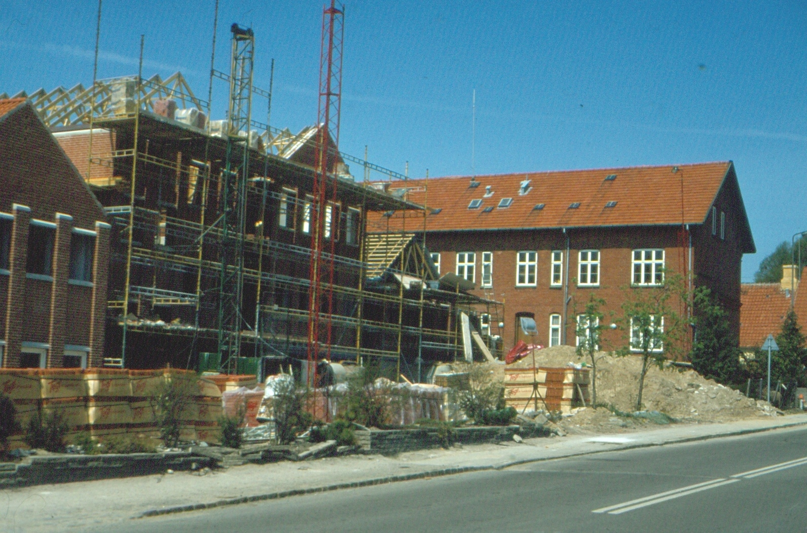 Præstø Lokalhistoriske Arkiv - Genforeningstræet i Hollænderskoven ved ...