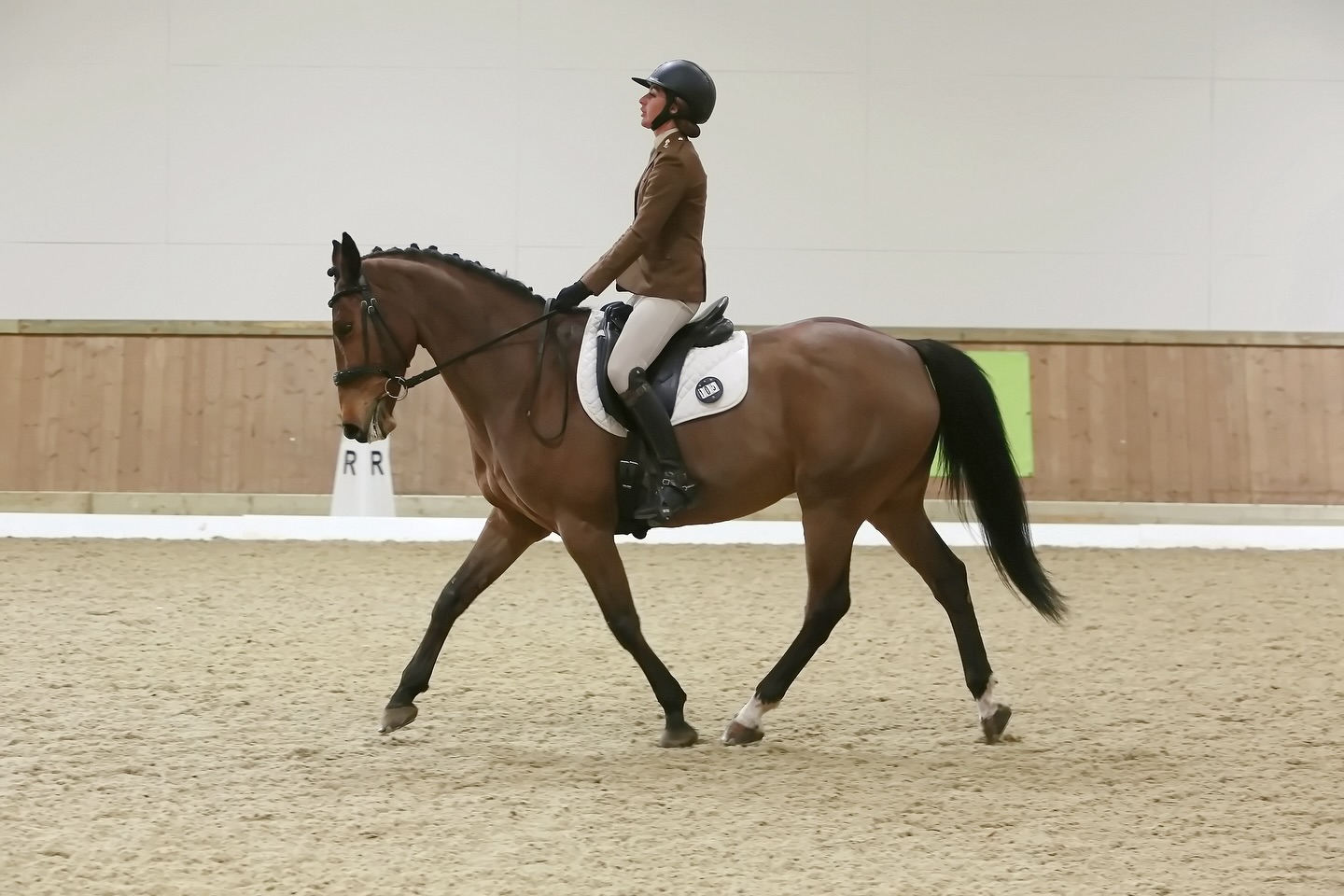 Charlotte Pudge Equestrian
