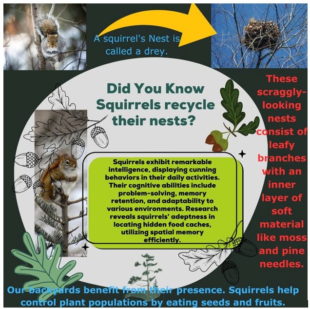 Greater - Happy Saturday! Here's some squirrel facts courtesy of ...