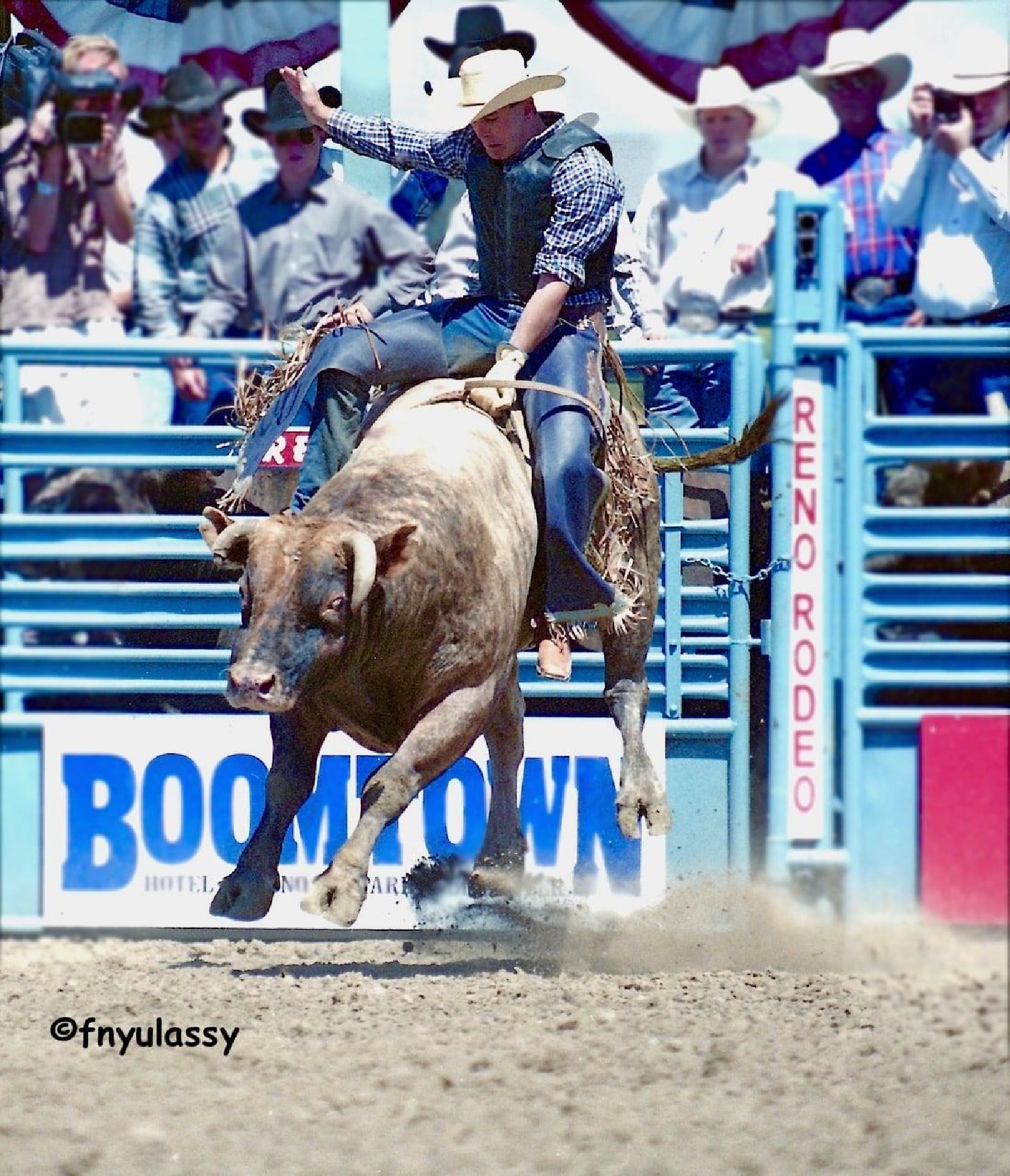 The Bull - Blue Stone - Class of 2025 Inductee - The Bull Riding Hall ...