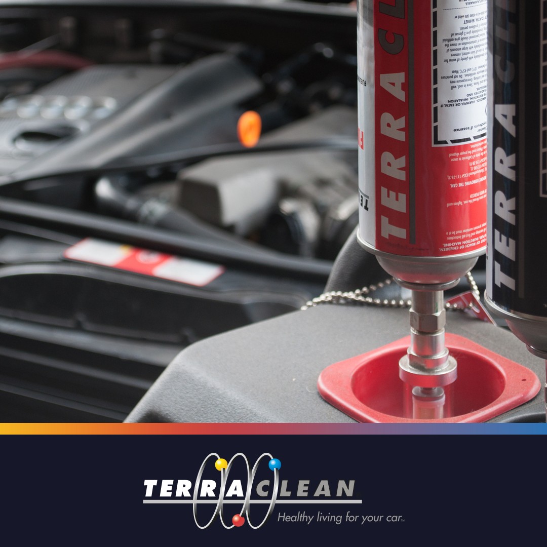 Central Motor Services... - Central Motor Services Limited