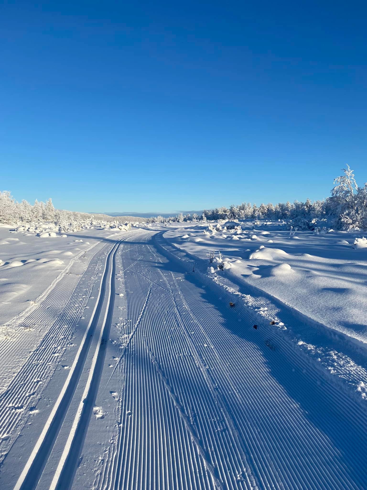 Tynset turlag | Tynset