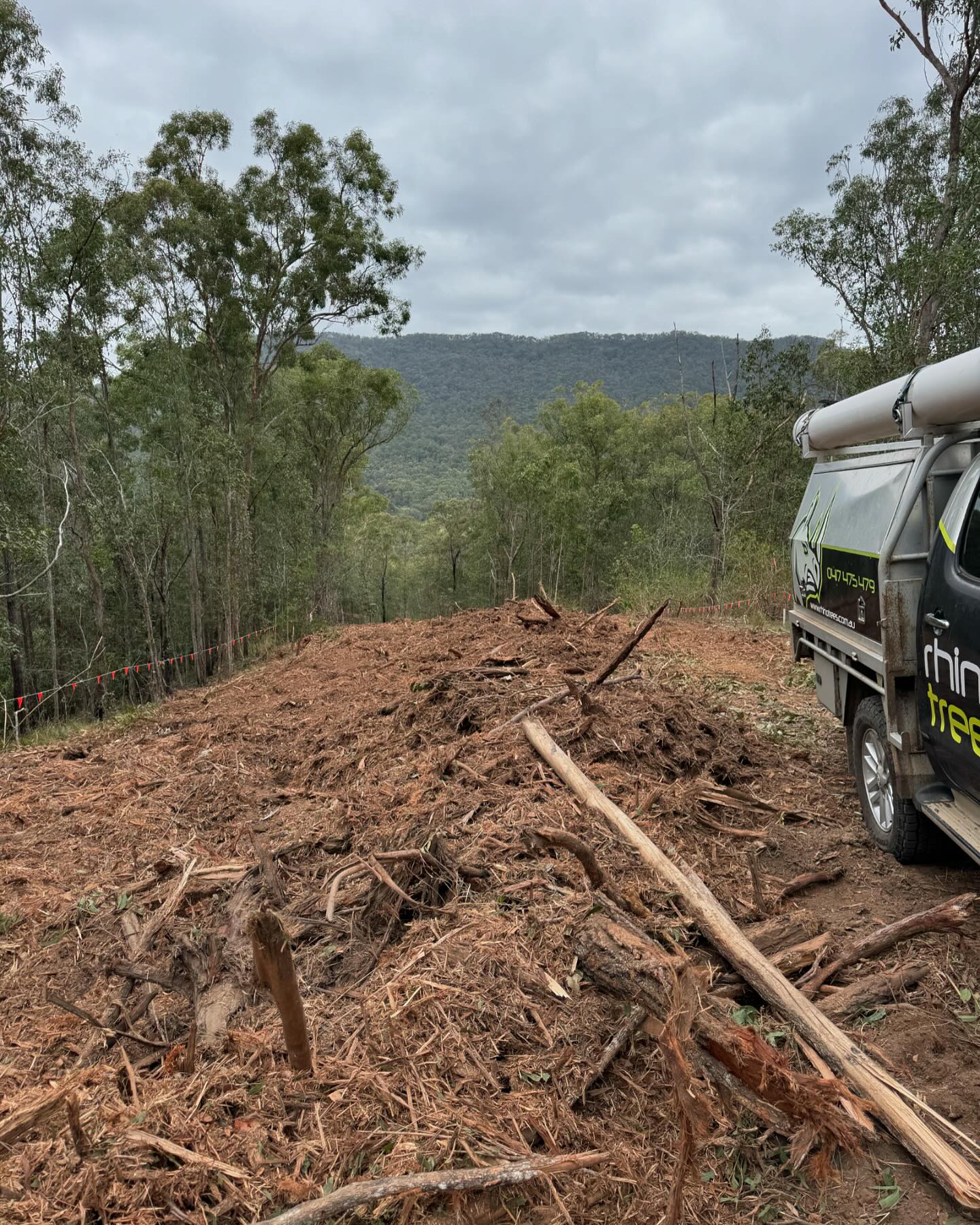 Rhino Trees - Tree Removal Services Gold Coast