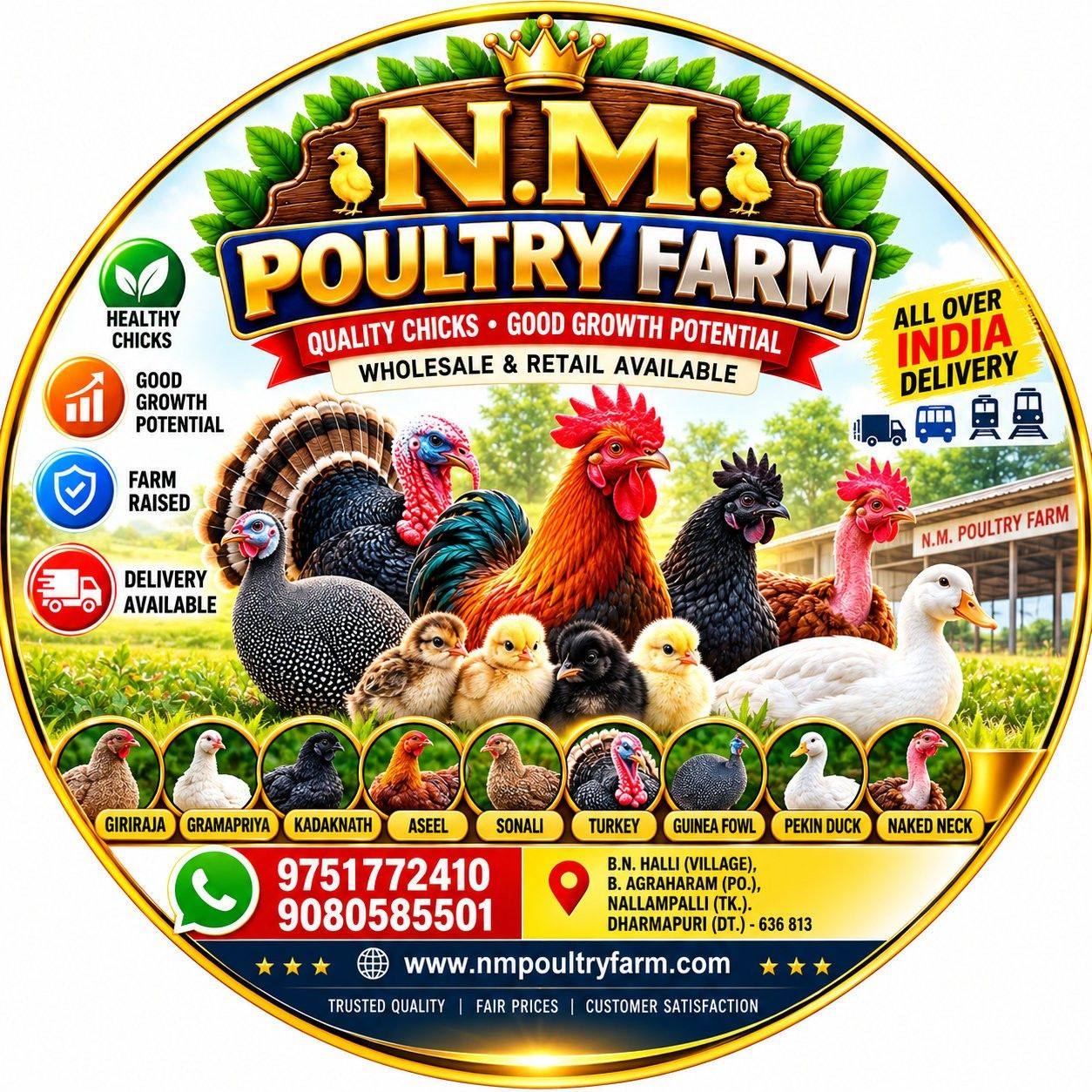 What Type Breeds 😲🐥🐣🤔🤔🤔 #poultryfarming #chickenfarming #chicks #fypシ ...