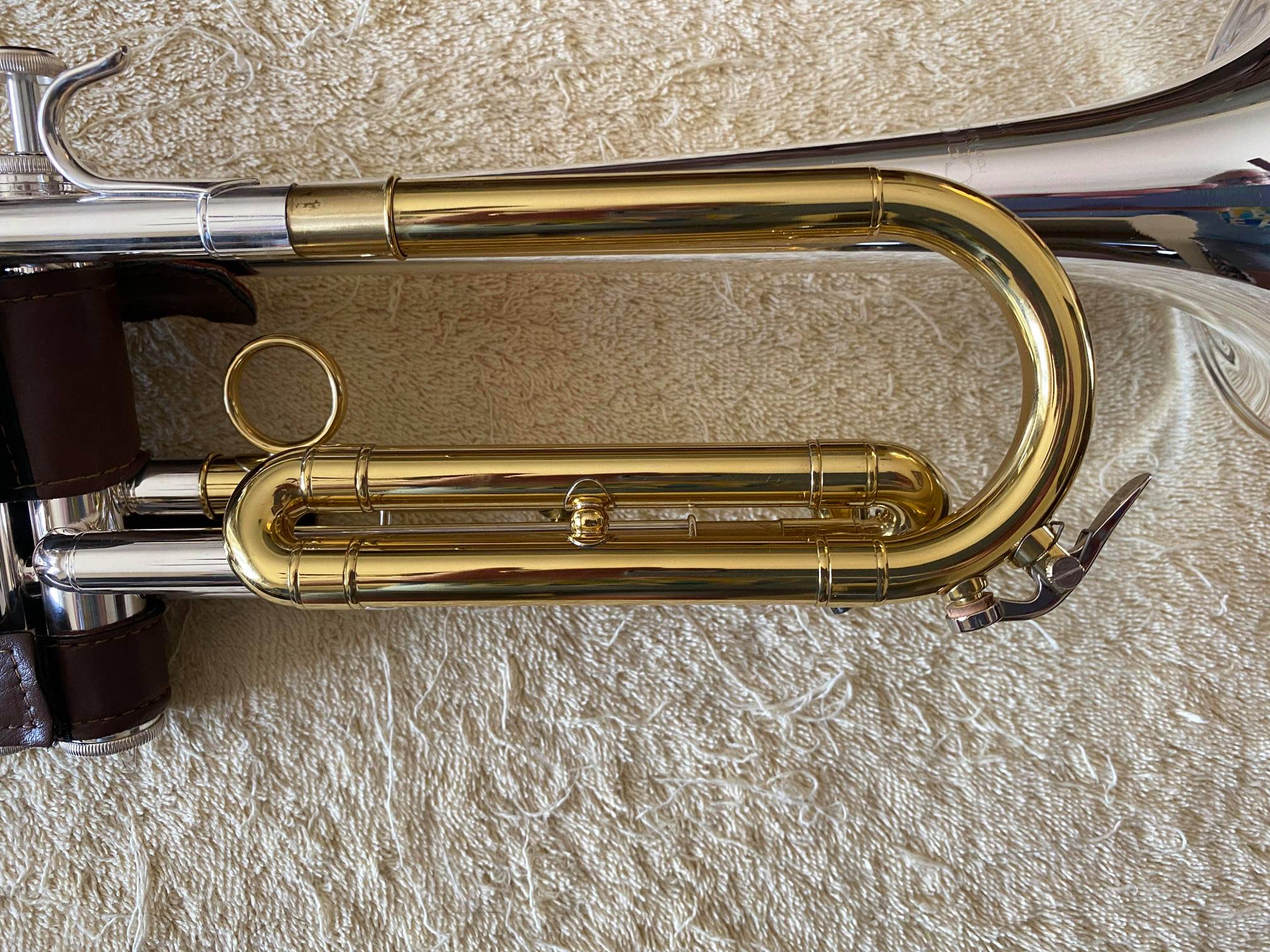 Carol Brass Baro Model II Original by Carol Brass 