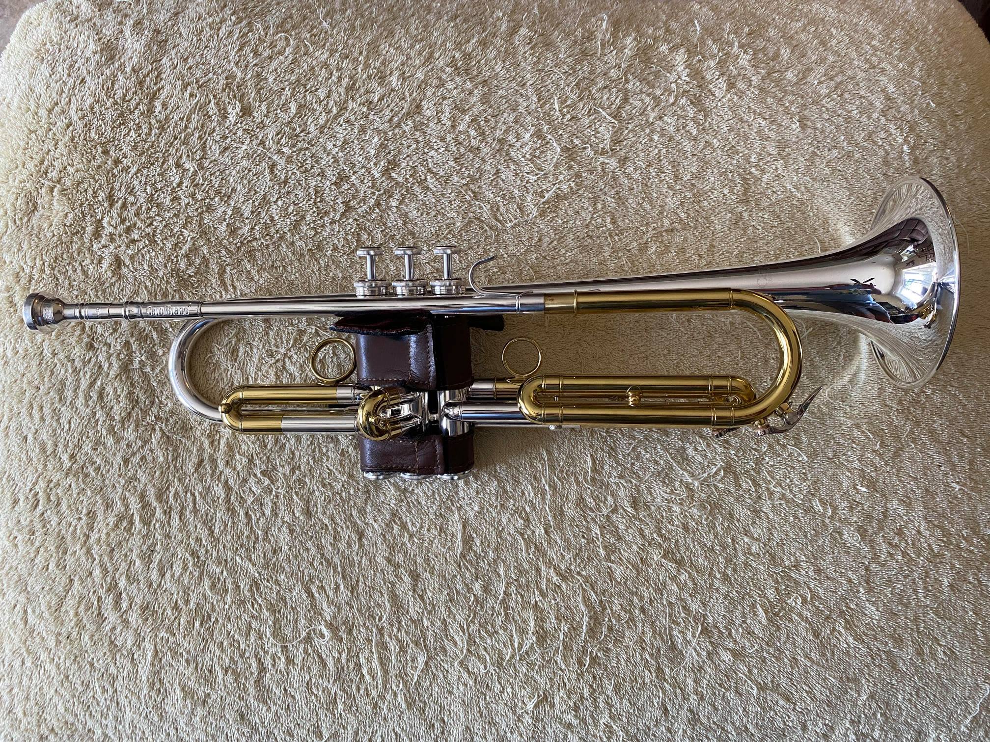 Carol Brass Baro Model II Original by Carol Brass 