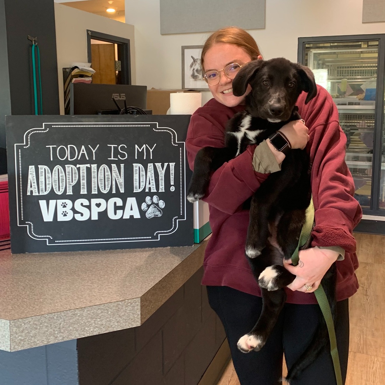 Virginia Beach SPCA | Virginia Beach VA