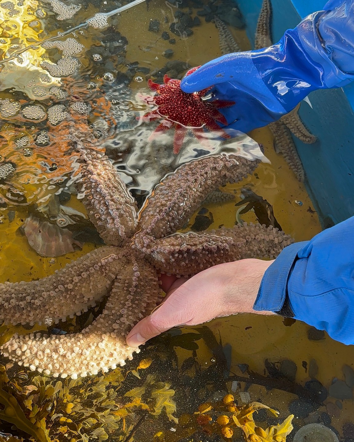 Exploris Aquarium | Newtownards