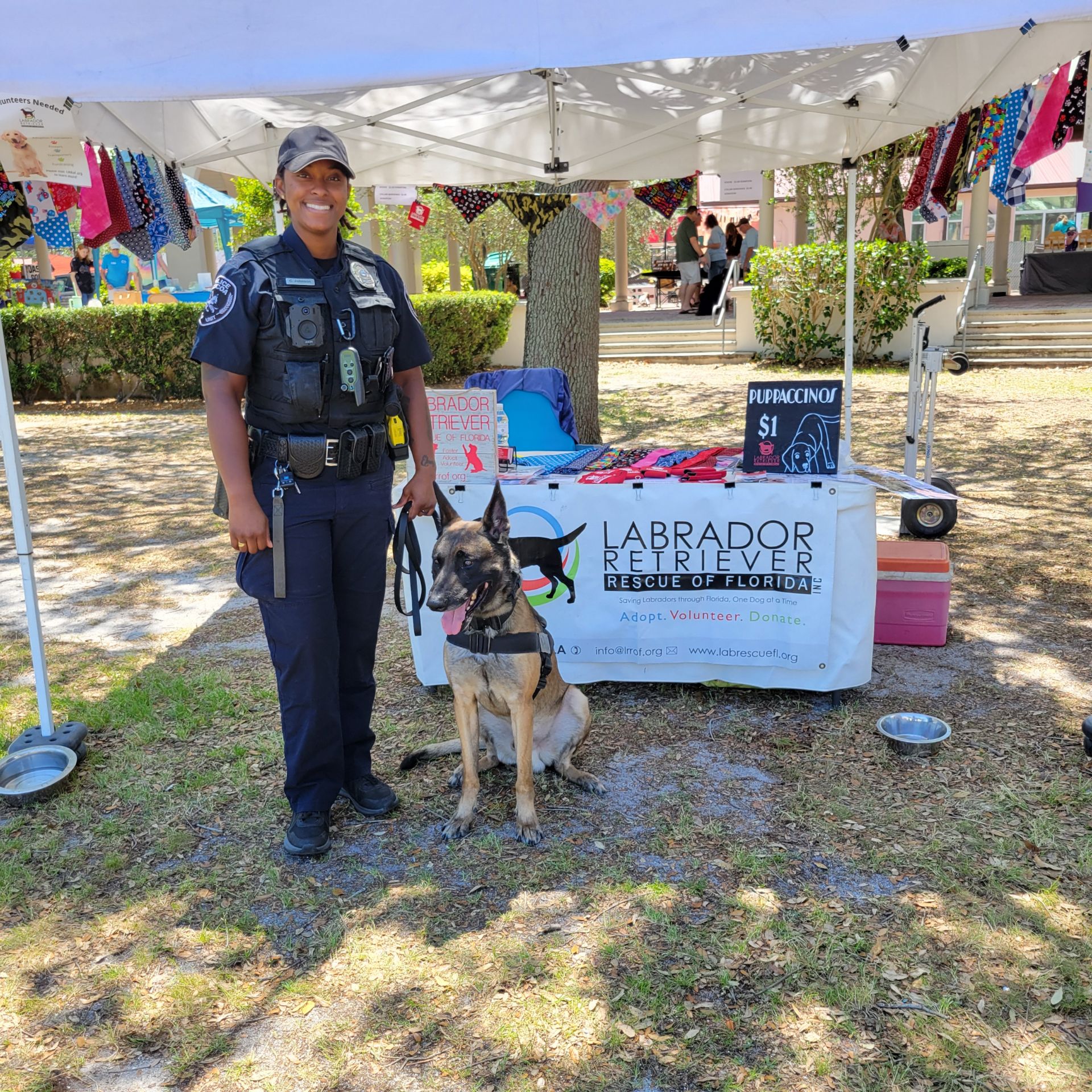 Labrad... - Labrador Retriever Rescue of Florida - Space Coast