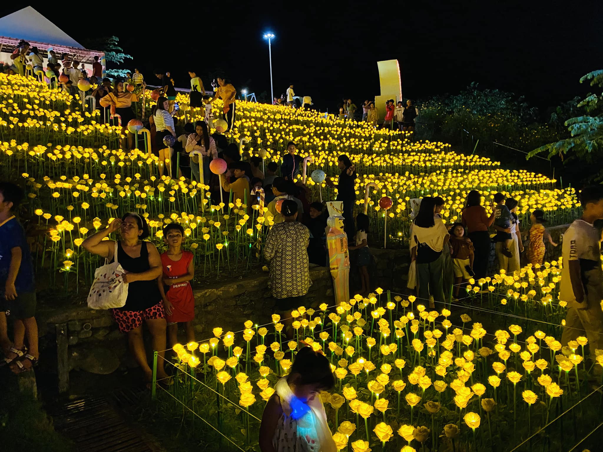 5000 Glowing Roses of Pantabangan... - Nueva Ecija Food Life