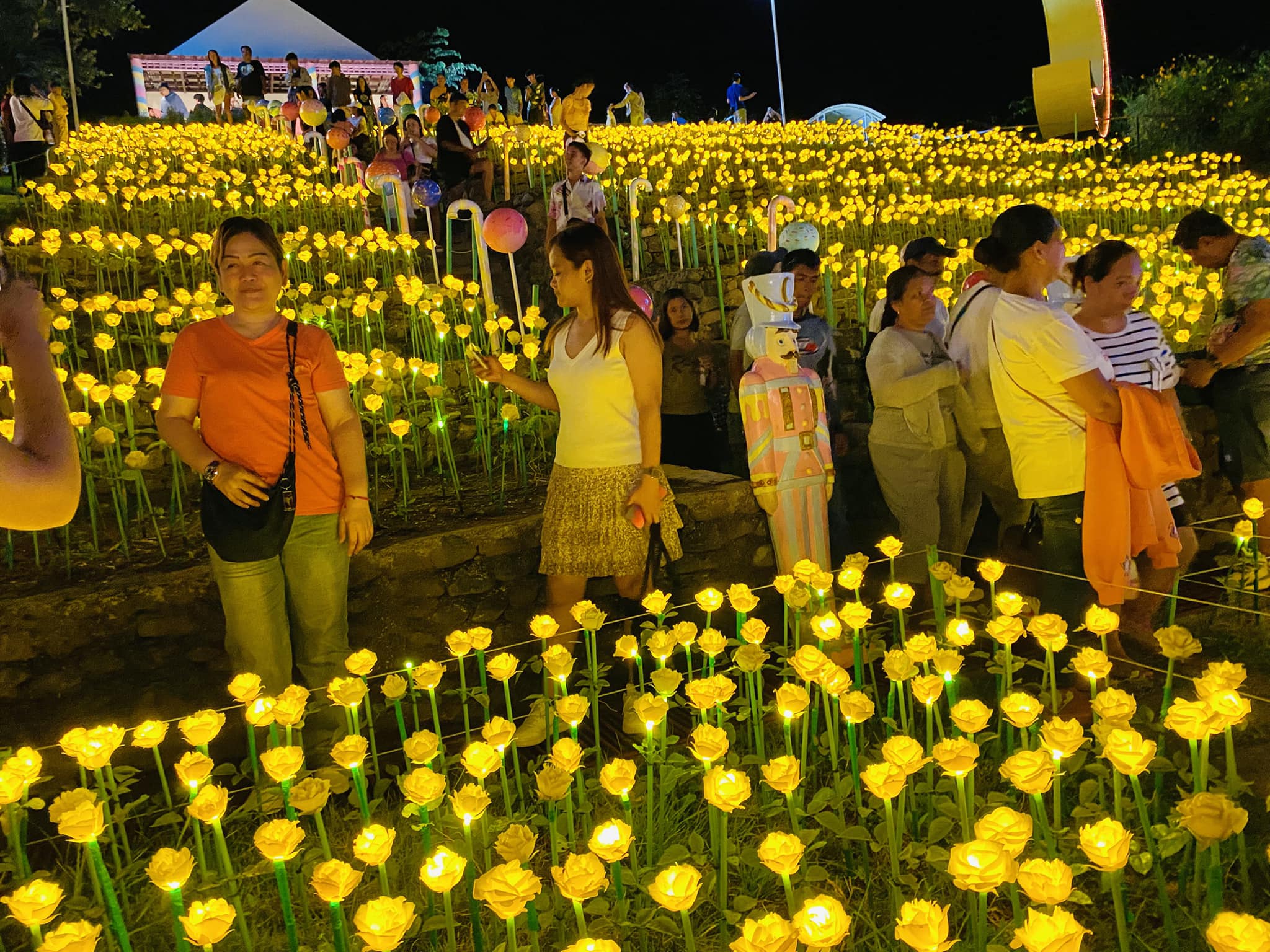 5000 Glowing Roses of Pantabangan... - Nueva Ecija Food Life