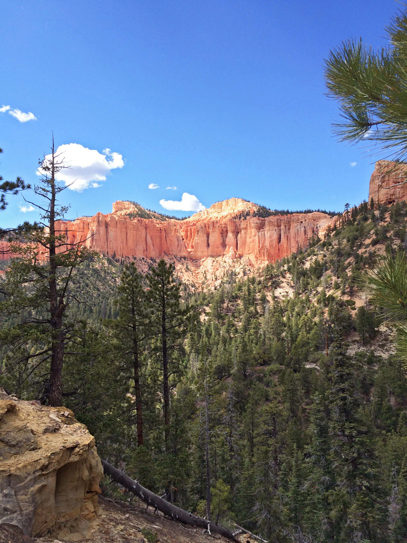 I don't think many people hike... - The American Southwest | Facebook