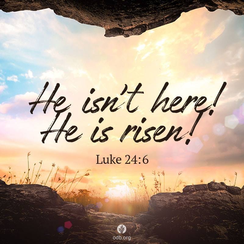 Fellowship Christian Church | Ripley MS