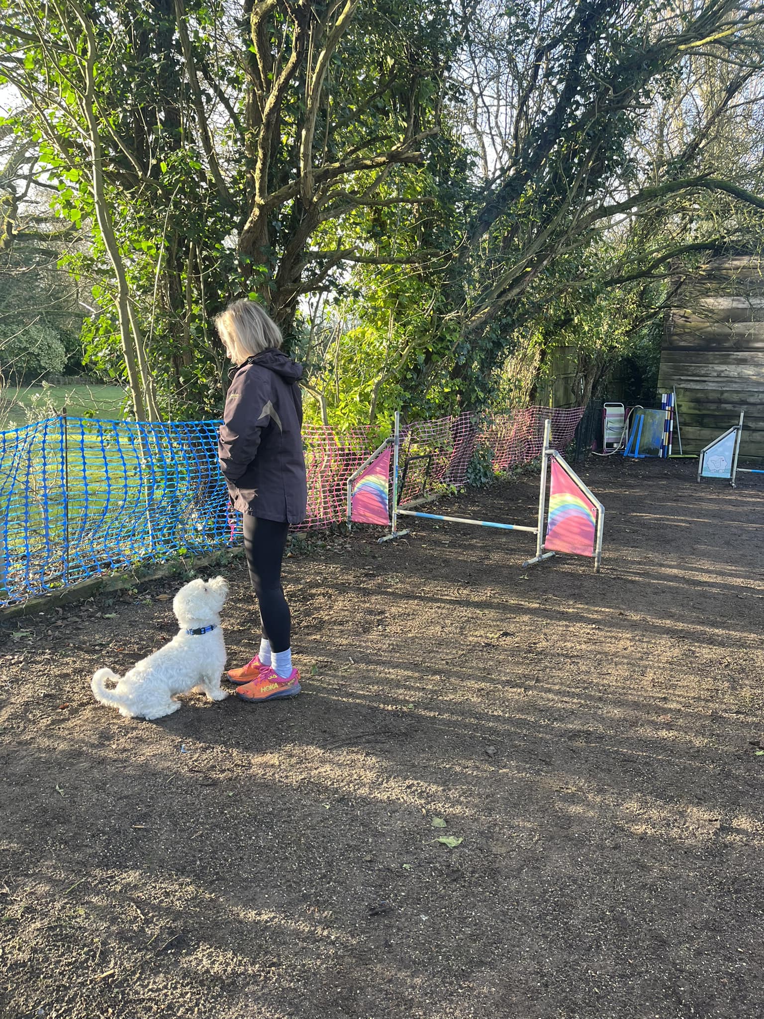 K9 K8 Dog Agility Training