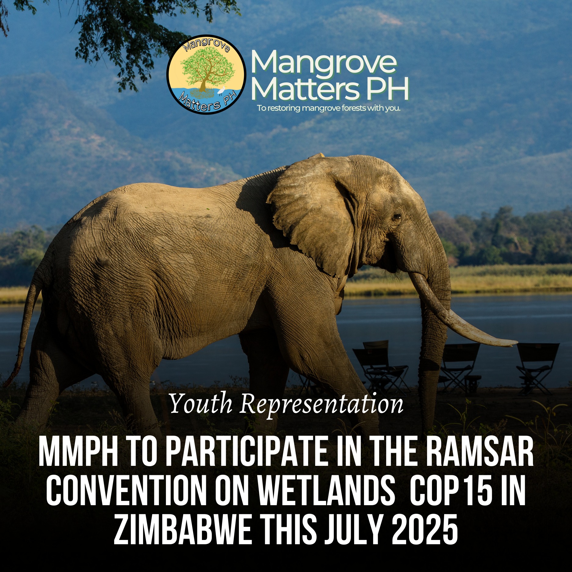 Mangrove - All Roads Lead to Zimbabwe for the upcoming Ramsar ...