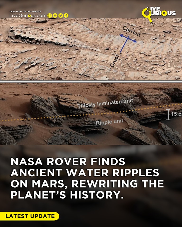 Live - NASA Rover Discovers Ancient Water Ripples on Mars—Could Rewrite ...