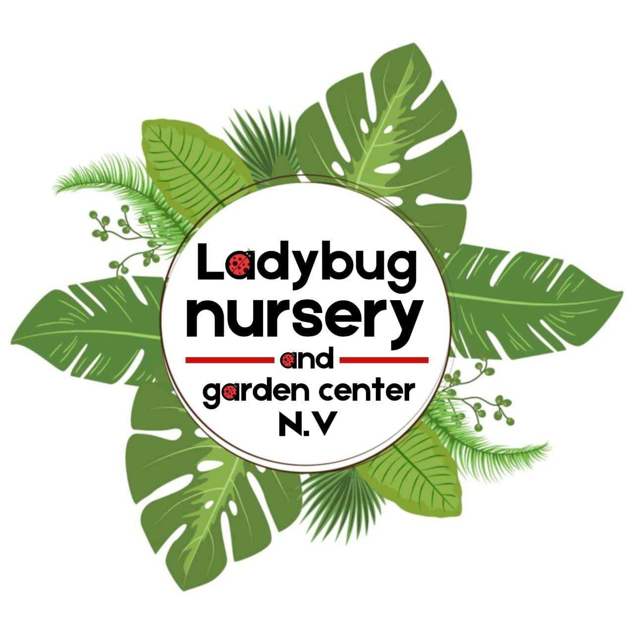 Ladybug Nursery... - Ladybug Nursery and Garden Center N.V.