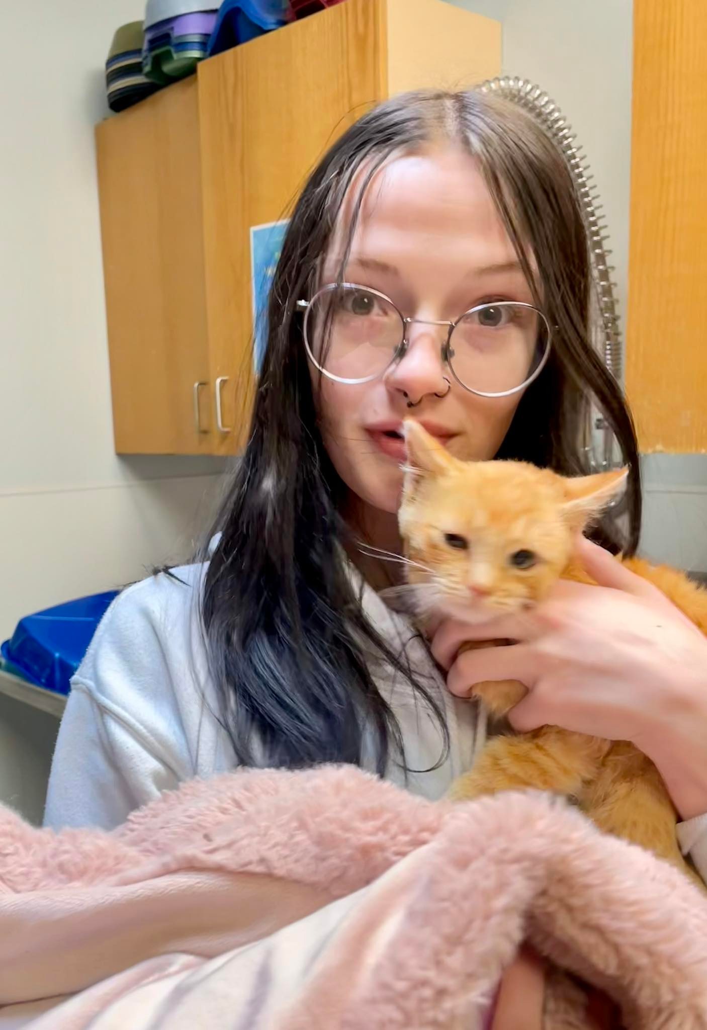 La Plata County Humane Society - 4-month-old Biscoff | Facebook