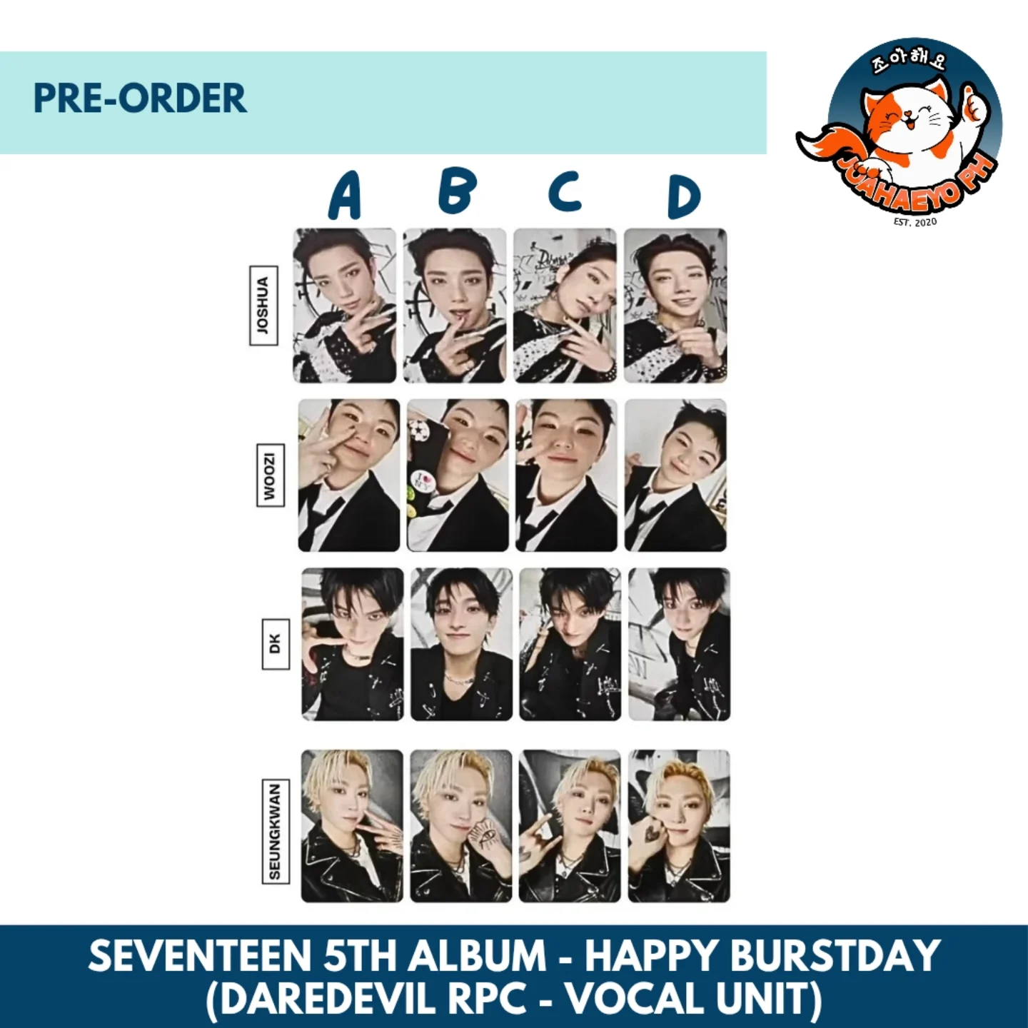 CD SEVENTEEN DAREDEVIL バインダー トレカ 12メンバー コンプ