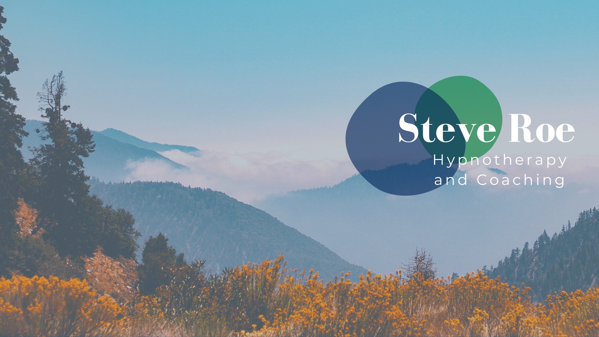 Steve Roe Therapy