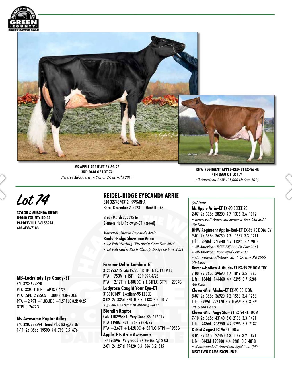 Taylor Riedel
