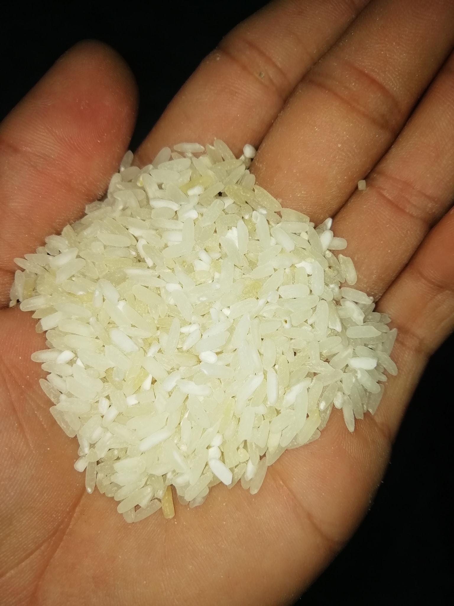 Shawon auto rice mill