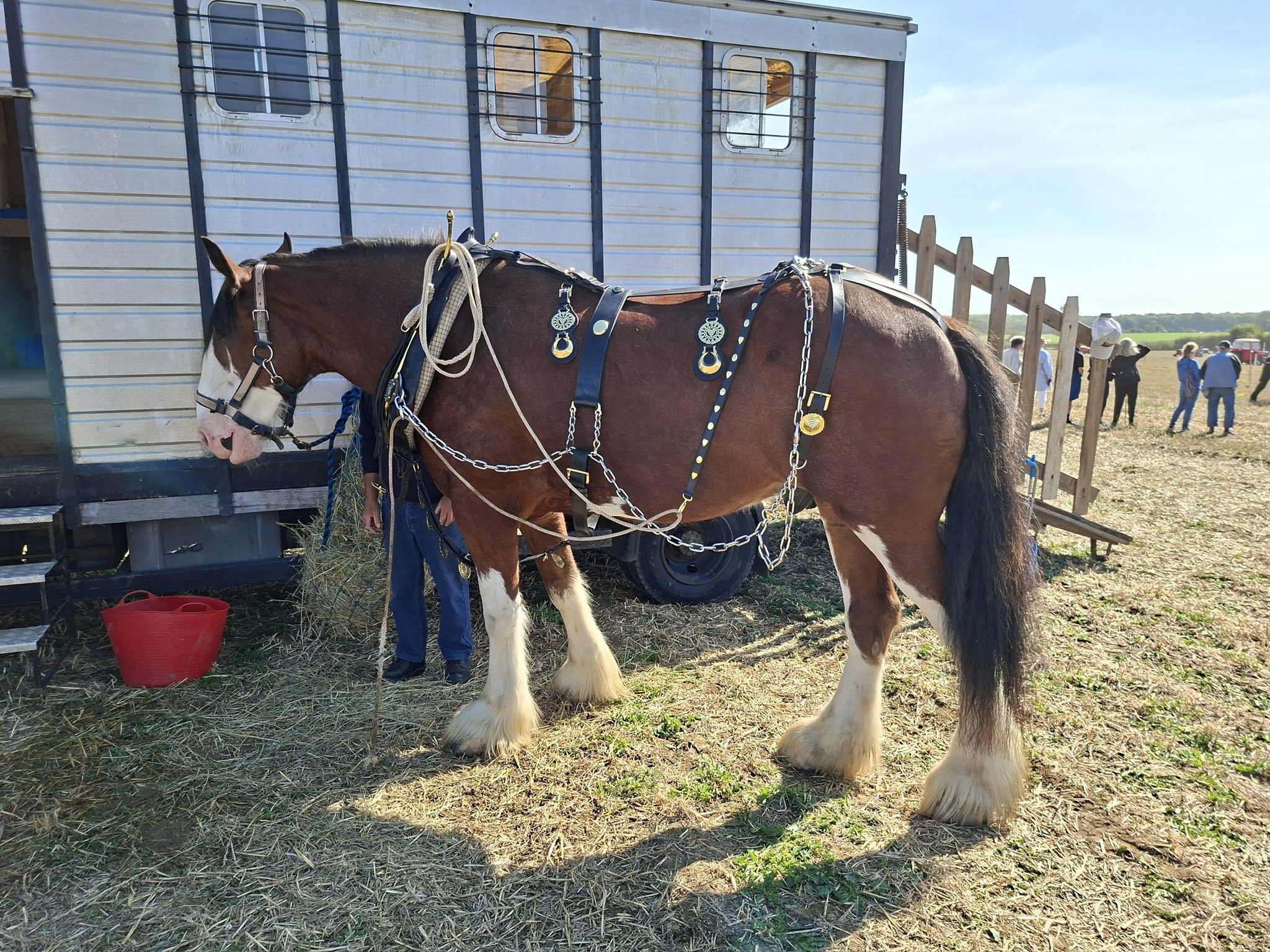 A few photos from... - Brampton Plough Day and Country fayre | Facebook