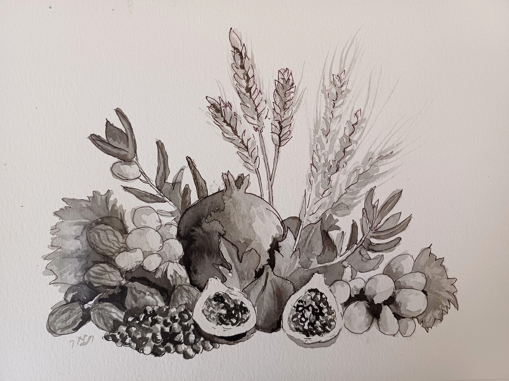 Tamar - The 7 species of Israel. Class demo. Ink on paper 25*35 cm. # ...
