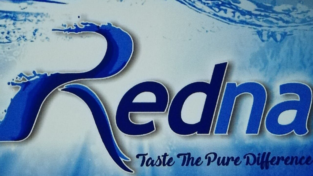 Redna International