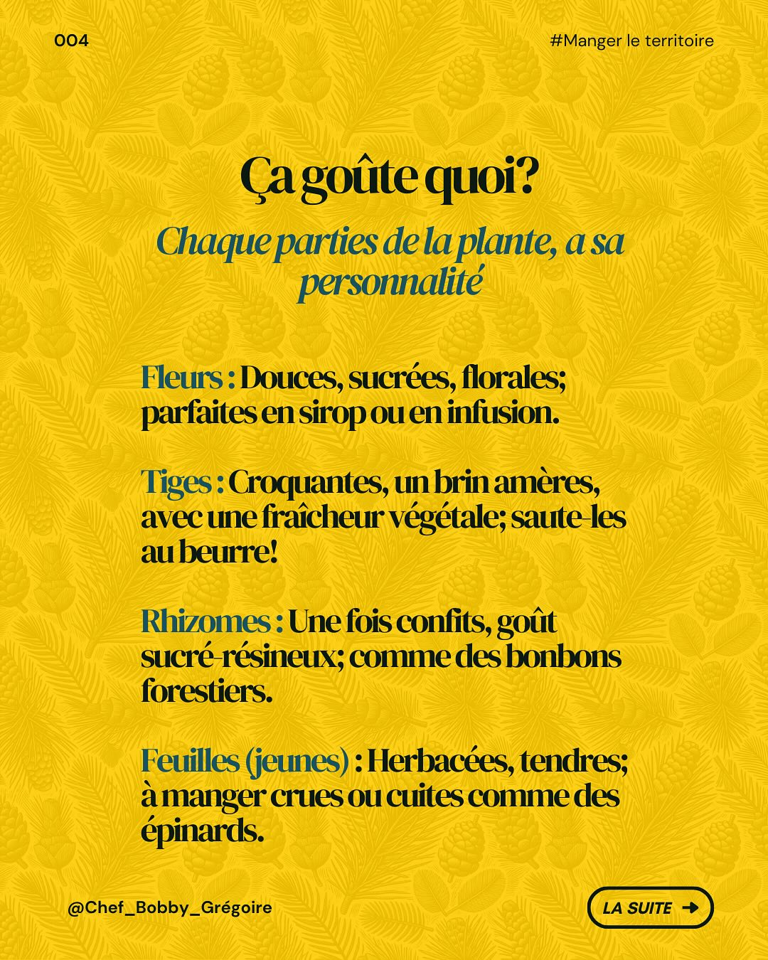 Bobby Grégoire - Chef consultant en alimentation durable