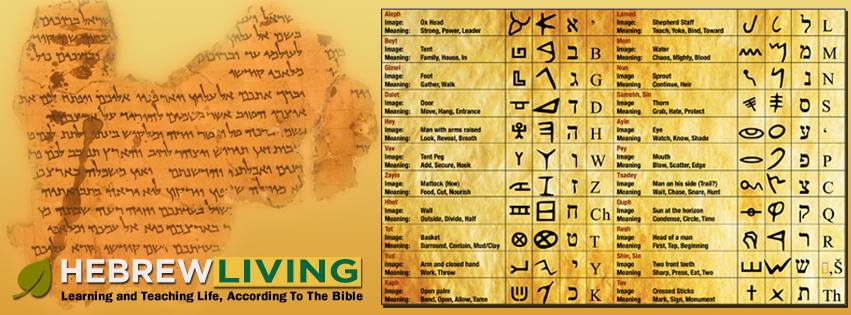 Hebrew Living Home Facebook The hebrew version of the song my lullaby from the lion king 2 (simba's pride) subbed and translated. hebrew living home facebook