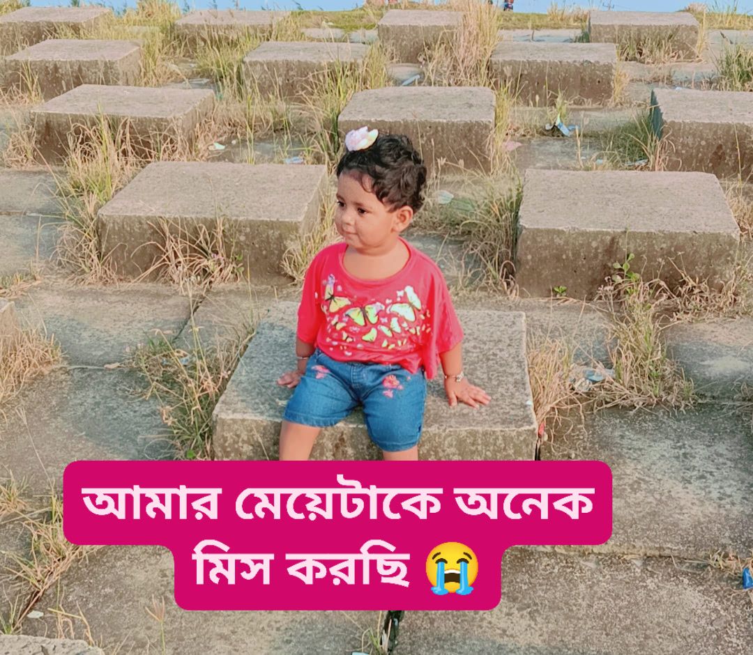 সাহসী মিজান ভাই
