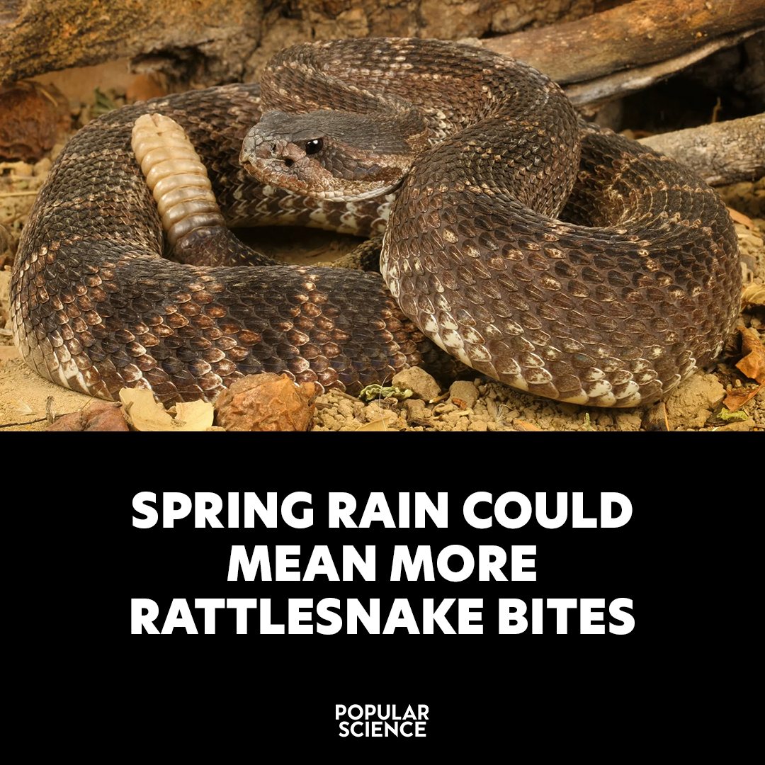Popular Science - But it's not because they get more... | Facebook