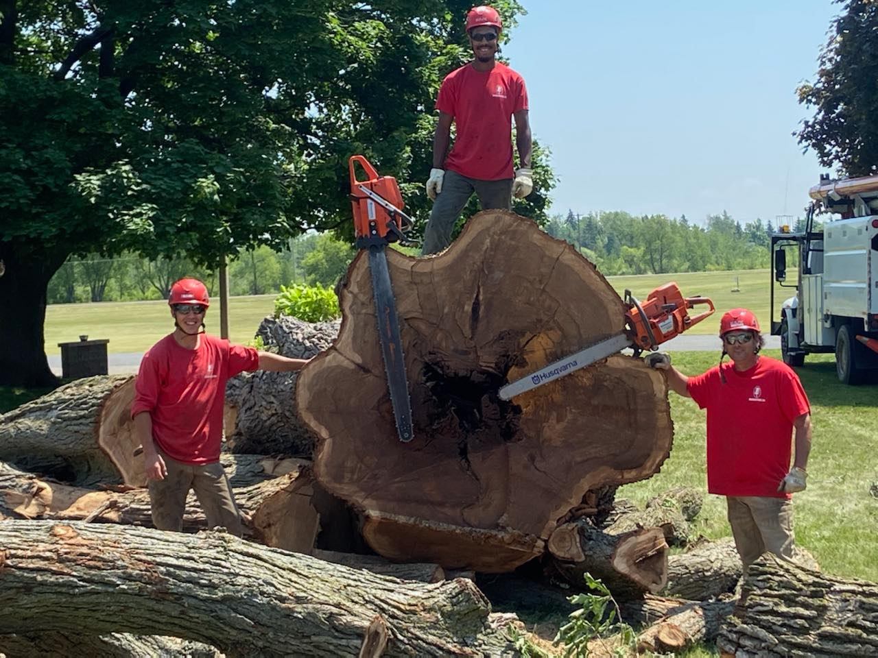 Madden & Company Tree Service | Westport ON