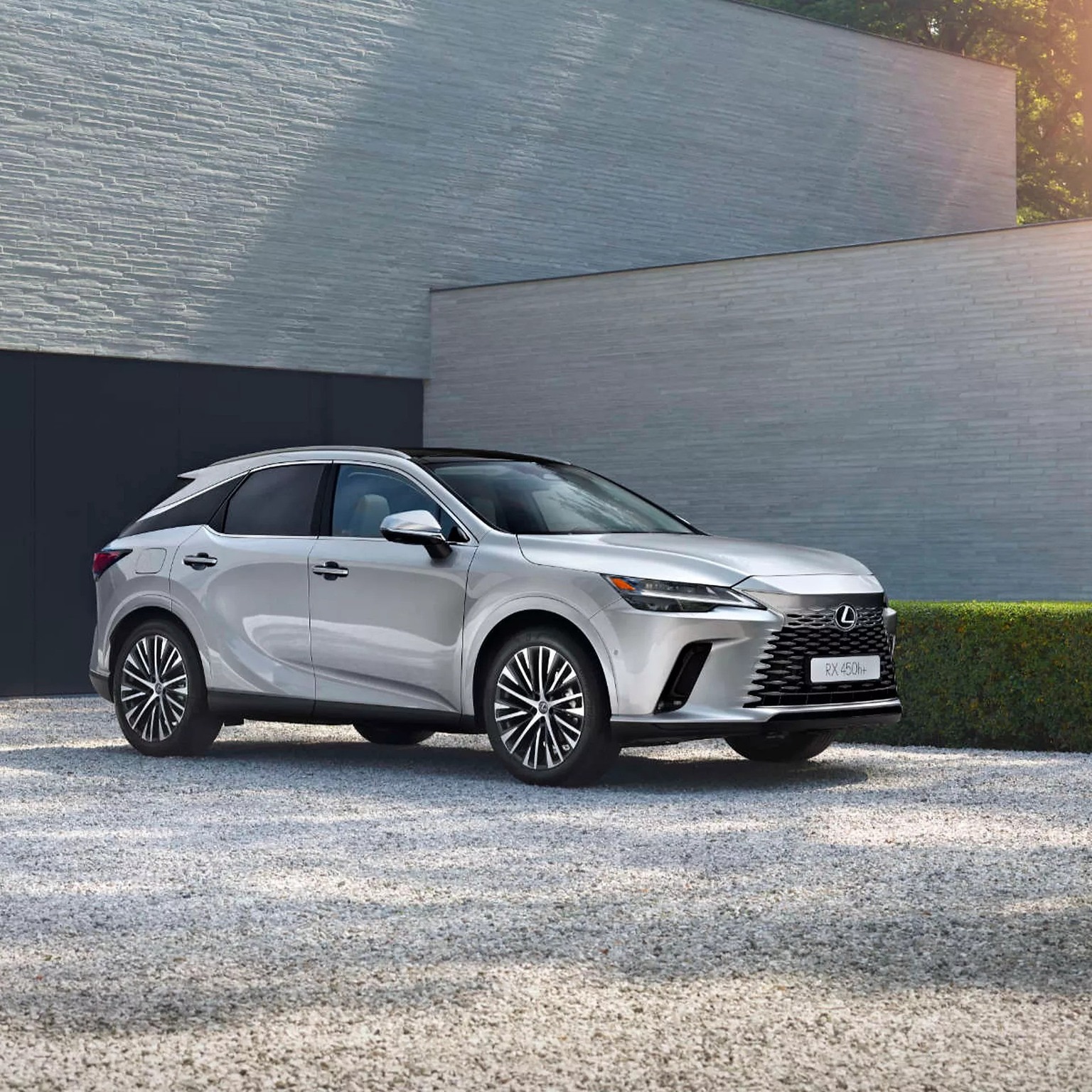 Lexus - 15%-იანი ფასდაკლება სხვადასხვა პროდუქტებზე - სეზონური აქცია ...