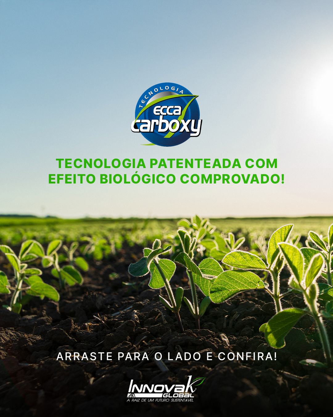 Innovak Brasil - 🌱 ECCA Carboxy: tecnologia que fortalece...