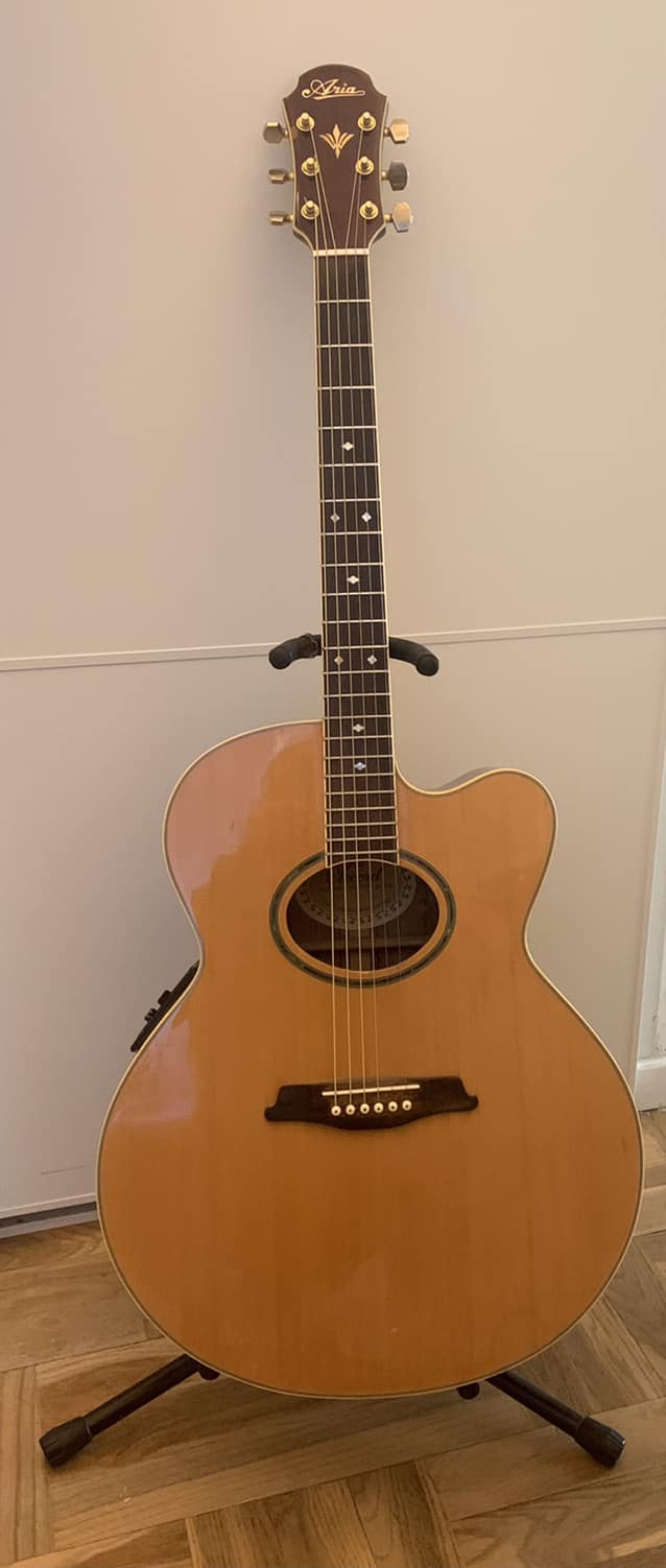 Aria Elecord - Folk Electric FE-70 Sounds great plugged in or