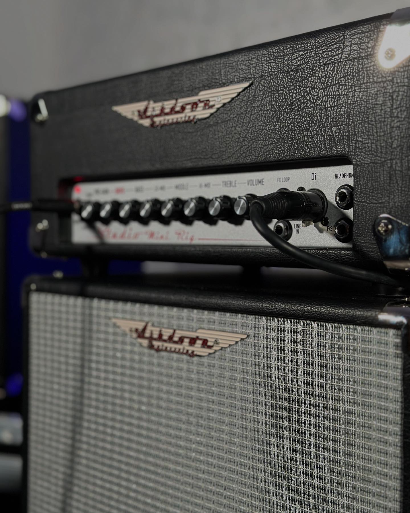 The Ashdown Mini-Rig is a 250w solid state bass head and 2x10