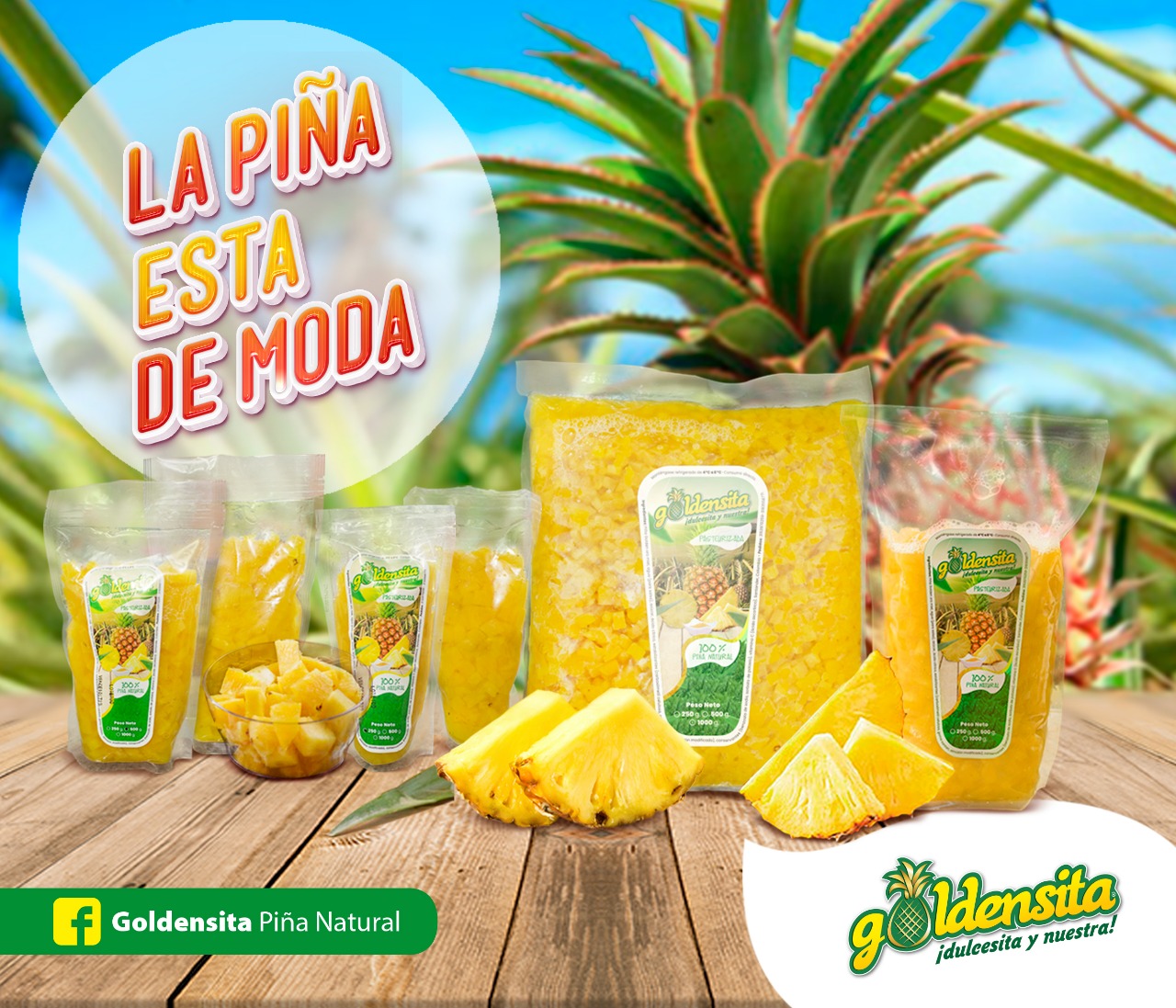 Goldensita Piña Natural
