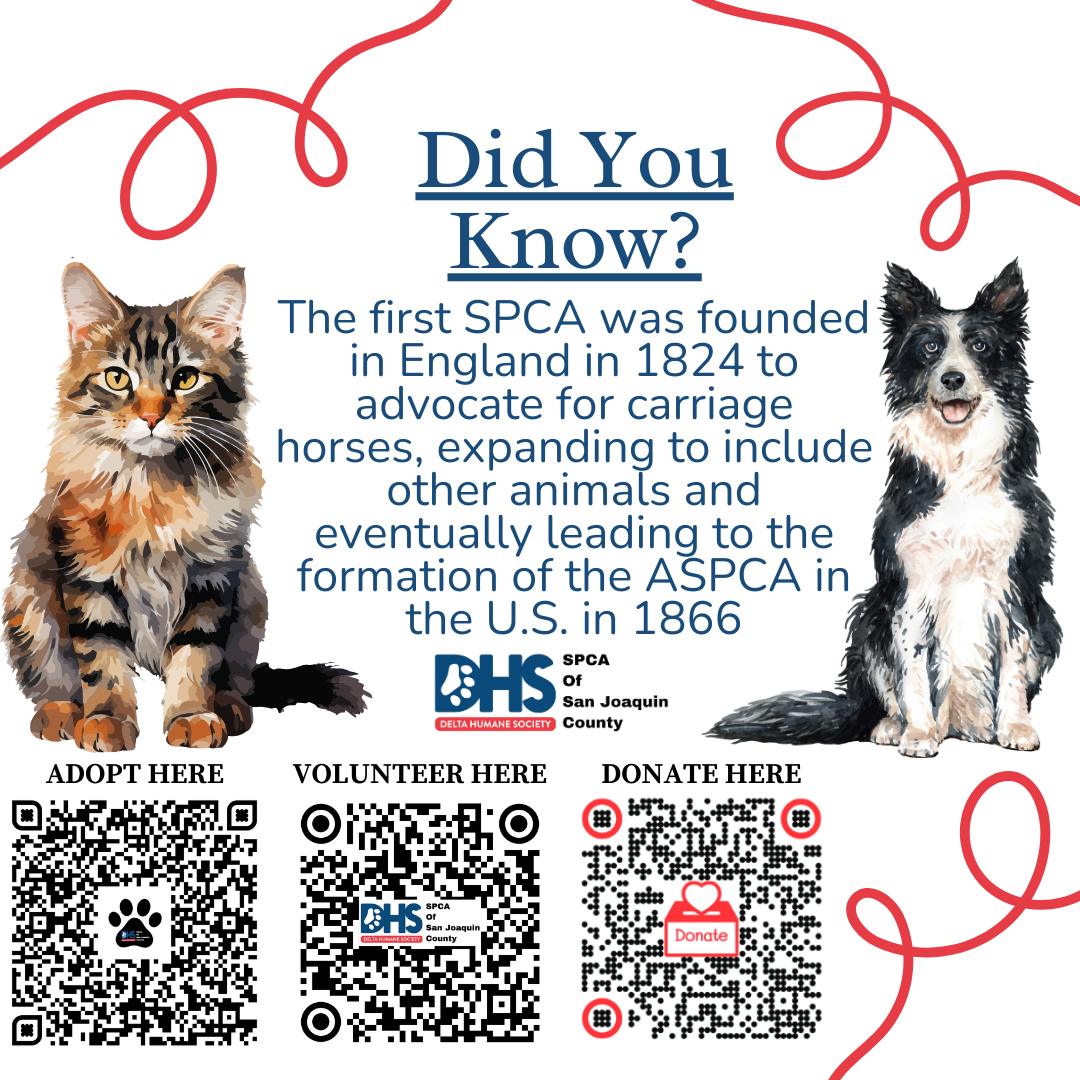 🐾 Did you know? 🐾 The very first SPCA (Society for the Prevention of ...