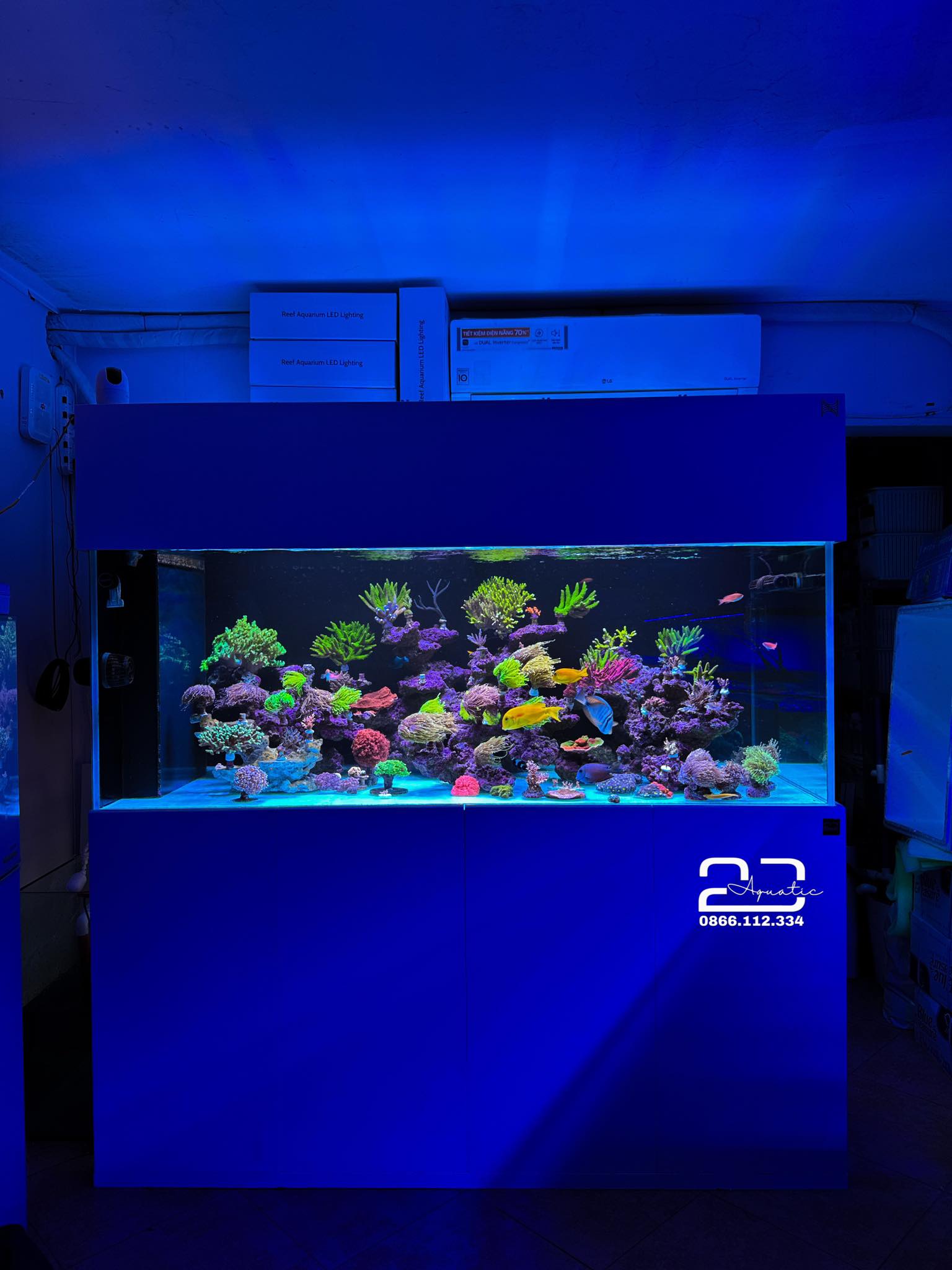 2D Aquatic - San Hô Cá Cảnh Biển