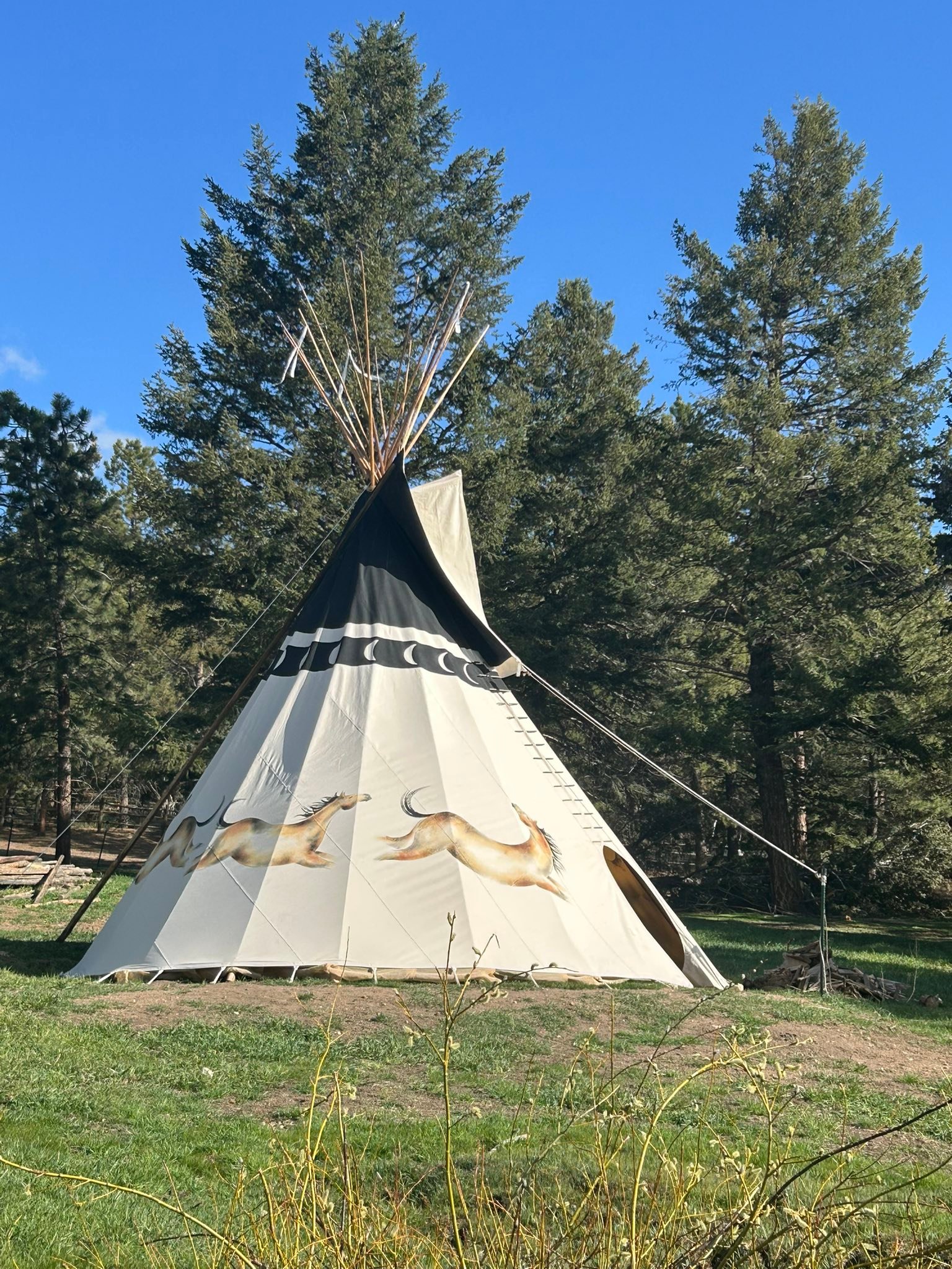 Rising Sun Ranch / Horse Boarding / Horse Motel | Nederland CO