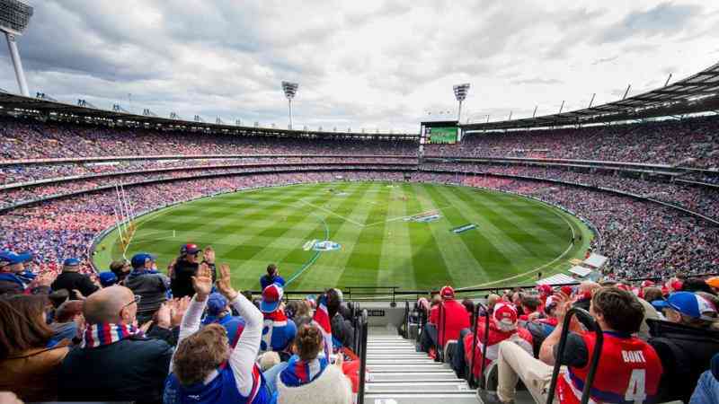 Cricket Fan