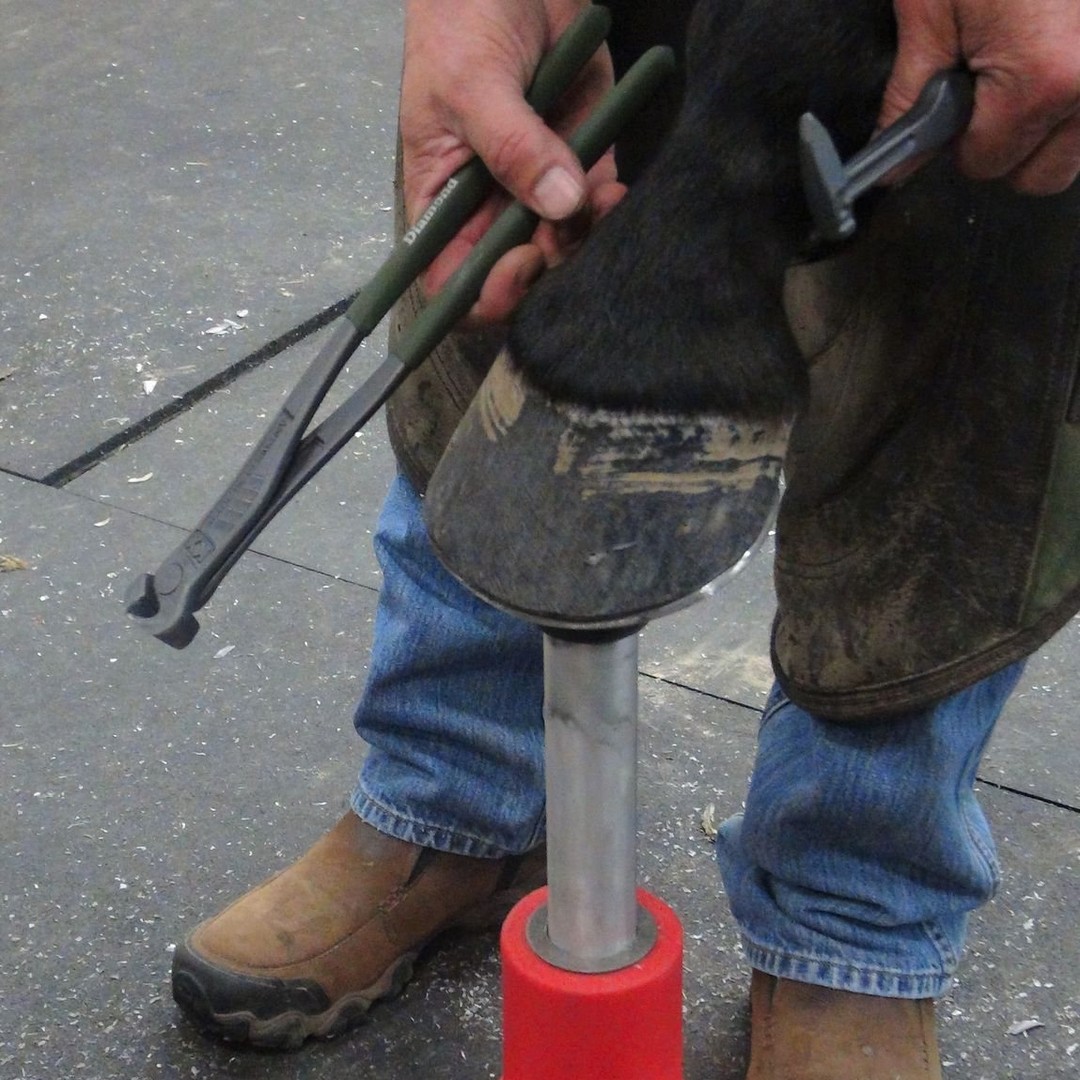 Fixation Tampon Pour Sabots FootPro HOOF Farrier Products IHBA204 250421 - Neuf (boîte Ouverte)