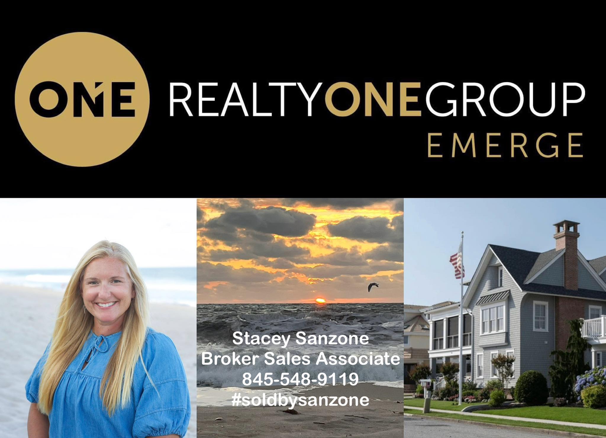 Stacey Sanzone, Broker Sales Associate, Realty One Group, Emerge ...